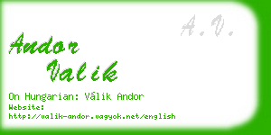 andor valik business card